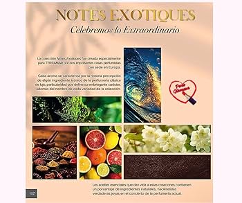 Amazon.com : Perfume de Rosas (ROSE DU MAROC) de Terramar Brands